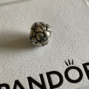Pandora hearts charm